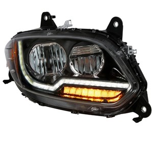 RH black 1.714616.jpg